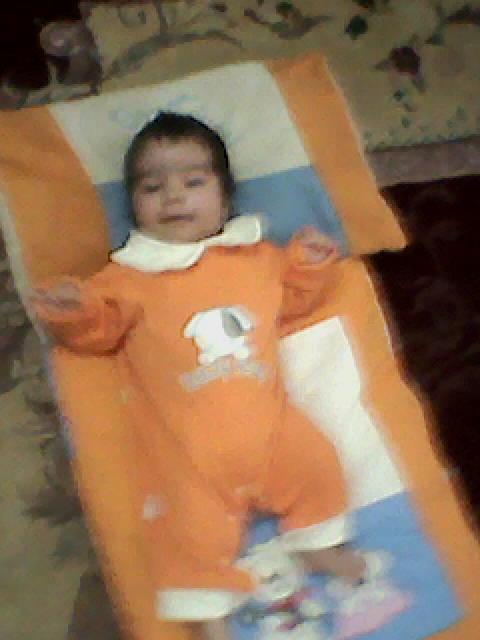 نور دیده نور دیده