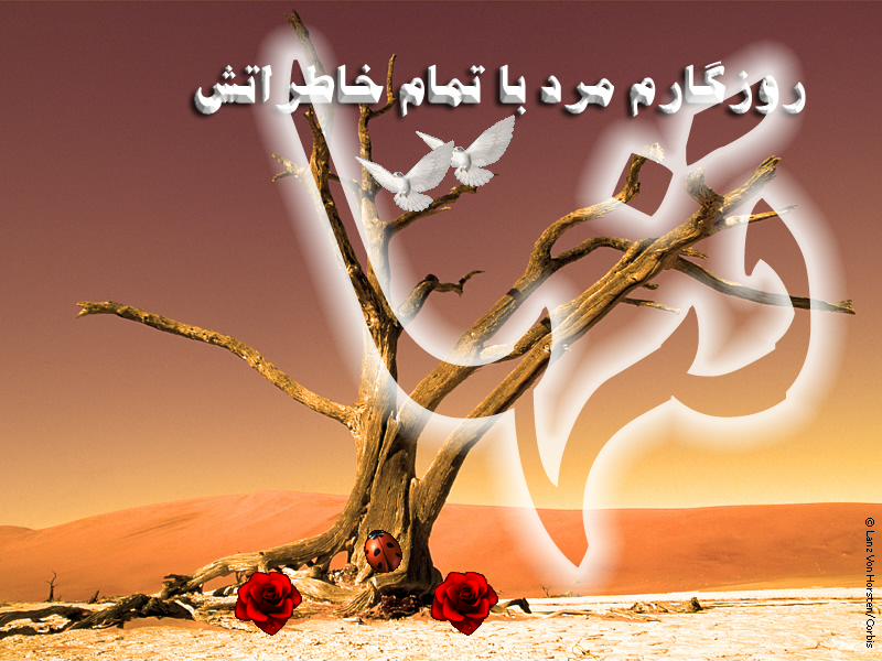 تنها تنها