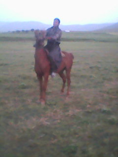 سوارکار جوان