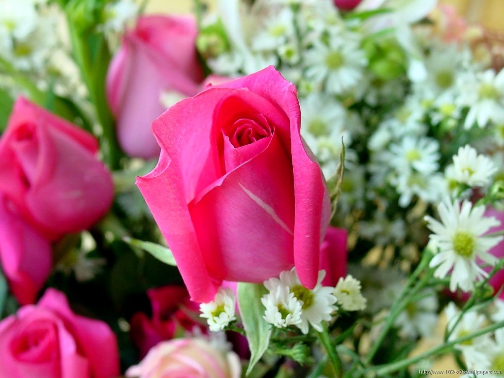صدای پای بهار می اید