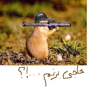 بدون شرح