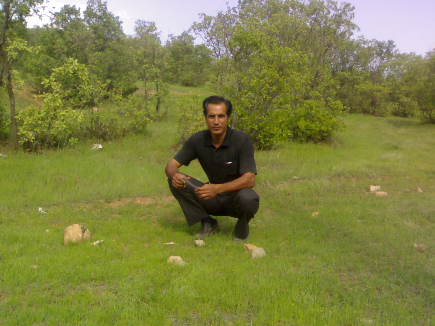 زندگی سبز